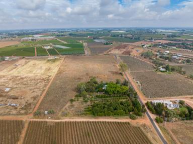 Cropping Sold - VIC - Red Cliffs - 3496 - Your Blank Canvas Awaits: Vacant Farmland with AUL of 30.4  (Image 2)