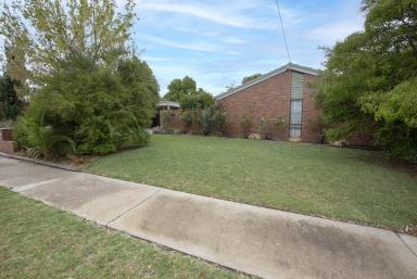 House Sold - VIC - Swan Hill - 3585 - Look What I found  (Image 2)