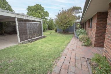 House Sold - VIC - Swan Hill - 3585 - Look What I found  (Image 2)