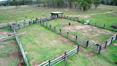 Other (Rural) Sold - QLD - Pratten - 4370 - Grazing & Lifestyle with 360 Panoramic Views  (Image 2)