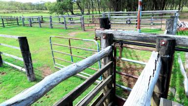 Other (Rural) Sold - QLD - Pratten - 4370 - Grazing & Lifestyle with 360 Panoramic Views  (Image 2)