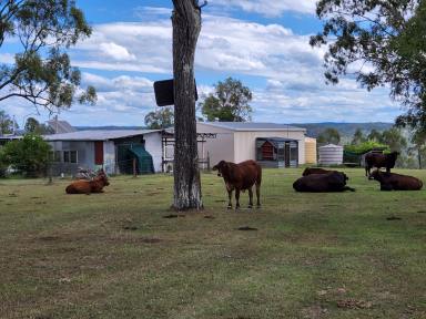 Mixed Farming Sold - QLD - Blackbutt - 4314 - Relax on 159 Aces with a Weekender set up.  (Image 2)