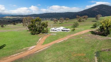 House For Sale - VIC - Tintaldra - 3708 - "Kilsyth" - Mountain Views From Every Window  (Image 2)
