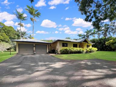Acreage/Semi-rural For Sale - QLD - Atherton - 4883 - Spacious Entertainer in a Great Location  (Image 2)