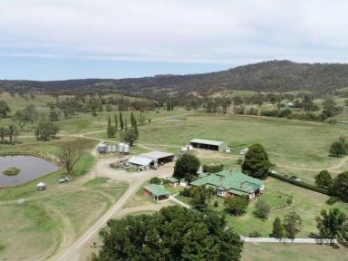 Livestock Sold - NSW - Armidale - 2350 - Large Scale Breeding Platform With Renewable Energy Potential  (Image 2)