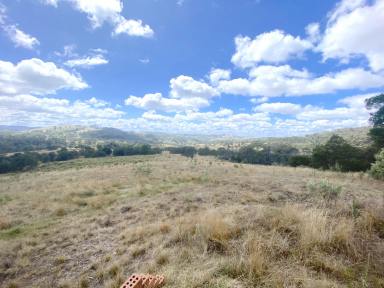 Lifestyle Sold - NSW - Bannaby - 2580 - EXPANSIVE VIEWS  (Image 2)