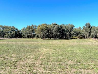 Residential Block Sold - NSW - Jindera - 2642 - “Attention!! The last block left!!”  (Image 2)
