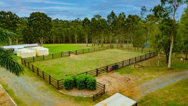 House Sold - QLD - Lagoon Pocket - 4570 - Scenic Escape with Paddocks and Stables  (Image 2)