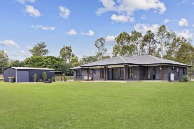 House Sold - QLD - Curra - 4570 - Sophisticated and Semi-Rural Perfection  (Image 2)
