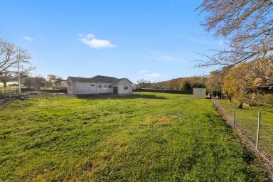 Residential Block For Sale - NSW - Adelong - 2729 - Quiet Location!  (Image 2)