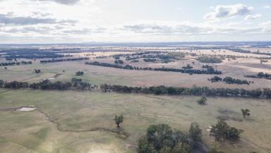 Acreage/Semi-rural For Sale - VIC - Graytown - 3608 - Introducing a Once-in-a-Lifetime Opportunity: 200 Acres of Pristine Land in Graytown  (Image 2)