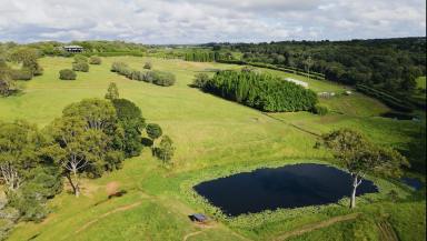 Acreage/Semi-rural Sold - QLD - North Isis - 4660 - Premiere Lifestyle Living  (Image 2)