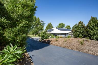 House Sold - NSW - Berry - 2535 - Family Friendly Home on a Large Block  (Image 2)