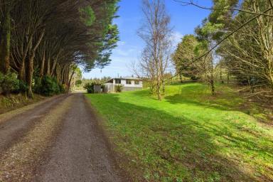 Lifestyle For Sale - VIC - Tanybryn - 3249 - HILLTOP FARM  (Image 2)