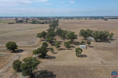 Lifestyle Sold - VIC - Tallygaroopna - 3634 - Outblock with shed  (Image 2)