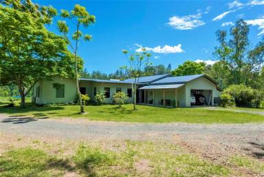 Lifestyle For Sale - NSW - Kyogle - 2474 - LIFESTYLE RETREAT WITH INCOME  (Image 2)