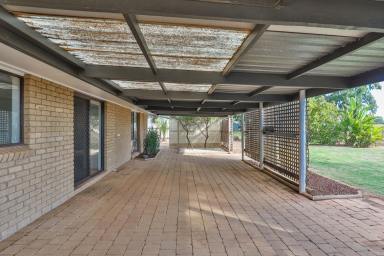 House Sold - VIC - Irymple - 3498 - RELAXED LIFESTYLE LIVING  (Image 2)
