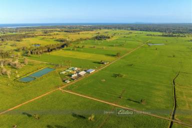 Acreage/Semi-rural Sold - NSW - Oxley Island - 2430 - 'WILLAREE DAIRY'  (Image 2)