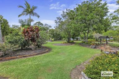 House Sold - QLD - Torbanlea - 4662 - BACK TO NATURE  (Image 2)