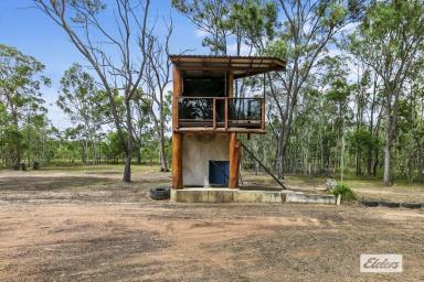 House Sold - QLD - Torbanlea - 4662 - BACK TO NATURE  (Image 2)