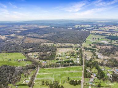 Residential Block For Sale - NSW - Wingello - 2579 - Affordable Land Opportunity in Wingello - Motivated Vendors  (Image 2)