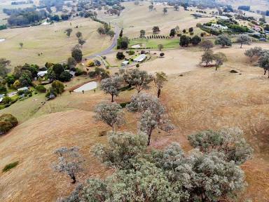 House Sold - NSW - Tumut - 2720 - Nothing more you could ask for  (Image 2)