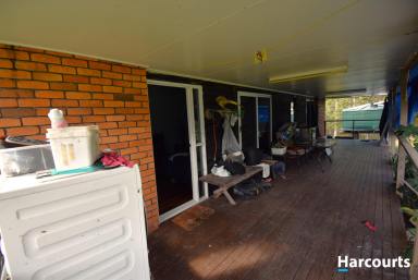 Lifestyle Sold - QLD - Apple Tree Creek - 4660 - A HOME AMONGST THE GUM TREES  (Image 2)
