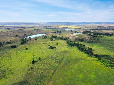 Livestock For Sale - QLD - Mundubbera - 4626 - "Glenview" Presentable Irrigation & Grazing Property in the sought after North Burnett Region  (Image 2)