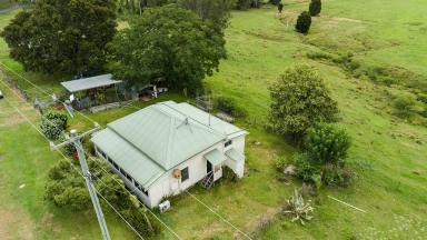 Acreage/Semi-rural Sold - NSW - Krambach - 2429 - Country Cottage  (Image 2)