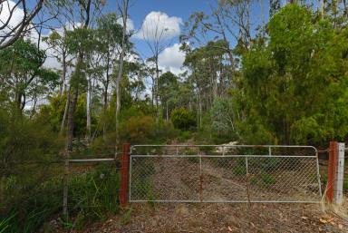 Residential Block Sold - TAS - Lachlan - 7140 - Peace and tranquillity  (Image 2)