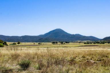 Lifestyle Sold - NSW - Baerami - 2333 - An ideal blank canvas to set up your own small farm or rural getaway. Set on 40 hectares or 100Ac Freehold of grazing country  (Image 2)