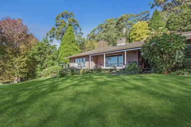 House For Lease - NSW - Jamberoo - 2533 - Rural Living with Ocean Views (Image 2)