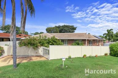 House Sold - QLD - Point Vernon - 4655 - Discover the Versatility of Dual Living - In Beautiful Point Vernon!  (Image 2)
