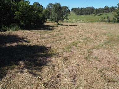 Residential Block Sold - QLD - Pie Creek - 4570 - 5 ACRES CLOSE TO TOWN  (Image 2)