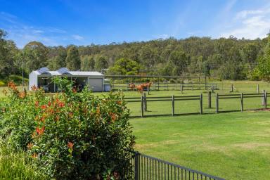 Lifestyle Sold - QLD - Murphys Creek - 4352 - PRICE REDUCED - MOTIVATED VENDORS!  (Image 2)