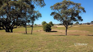 Residential Block For Sale - NSW - Inverell - 2360 - HECTARE BLOCK WITH CHARACTER  (Image 2)