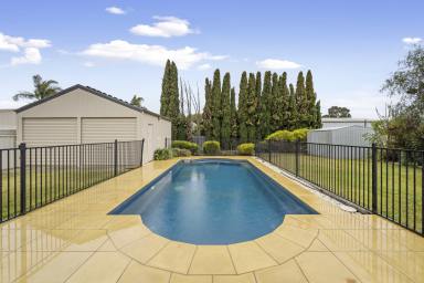 House For Sale - VIC - Rochester - 3561 - LARGE HOME - TICK, POOL -TICK, SHED- TICK..... GOT THE LOT  (Image 2)