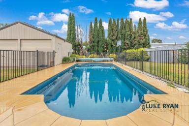 House For Sale - VIC - Rochester - 3561 - LARGE HOME - TICK, POOL -TICK, SHED- TICK..... GOT THE LOT  (Image 2)