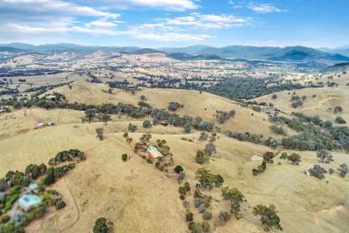 Acreage/Semi-rural For Sale - VIC - Mansfield - 3722 - THE VIEWS AT HUGHENDEN  (Image 2)