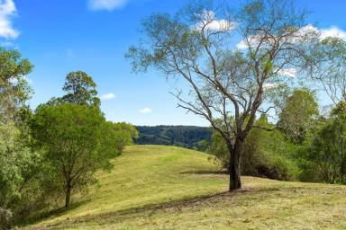 Residential Block Sold - QLD - Carters Ridge - 4563 - Sunsets Forever, Spectacular Views On Top Of The World, Dream Build Location  (Image 2)