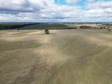 Livestock Sold - VIC - Macarthur - 3286 - 315.51 Ac – 127.68 Ha  Expressions of Interest  (Image 2)
