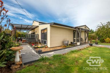 House Sold - NSW - Glencoe - 2365 - Low Maintenance Living  (Image 2)