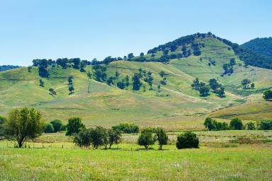 Lifestyle For Sale - VIC - Tallangatta Valley - 3701 - Situated in the highly productive Tallangatta Valley  (Image 2)
