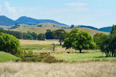 Lifestyle For Sale - VIC - Tallangatta Valley - 3701 - Situated in the highly productive Tallangatta Valley  (Image 2)