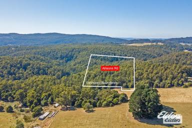 Lifestyle For Sale - TAS - Lower Barrington - 7306 - HEAVEN SENT FOR CONSERVATION ENTHUSIASTS!  (Image 2)
