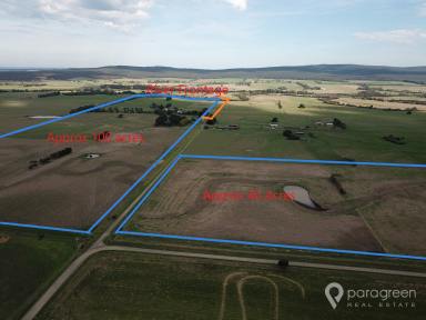 Mixed Farming For Sale - VIC - Jack River - 3971 - "WILLOW GROVE" -  5 ACRES WITH HOME OR 133 ACRES OF PRIME JACK RIVER COUNTRY  (Image 2)