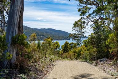 Residential Block For Sale - TAS - Eaglehawk Neck - 7179 - Spectacular 180 degrees of Waterview's and a sweeping 360 degrees of breathtaking coastal vista surrounds.  (Image 2)