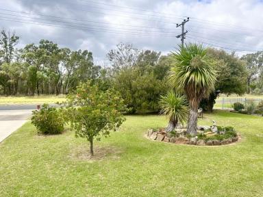 House For Sale - NSW - Coonabarabran - 2357 - 4 SALE - Back on the market!  (Image 2)