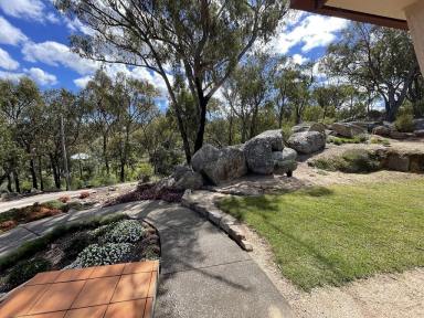 House Sold - QLD - Stanthorpe - 4380 - Your new Home amongst the gum trees  (Image 2)