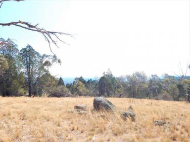 Other (Rural) For Sale - NSW - Cooma - 2630 - 52 HA , 129 Acres - Creek Location  (Image 2)